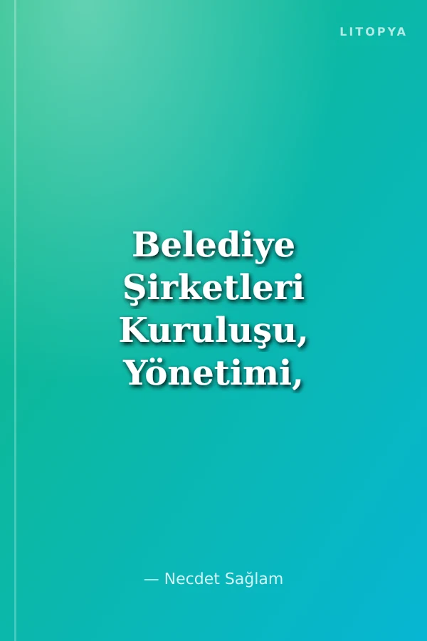 Belediye Şirketleri Kuruluşu, Yönetimi, Kanunu Yükümlülükleri, Muhasebesi ve Denetimi