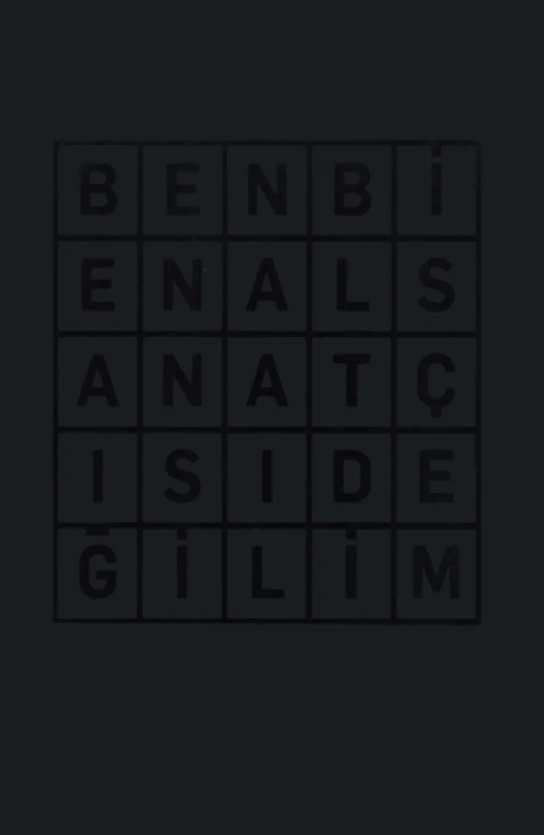 Ben Bienal Sanatçısı Değilim