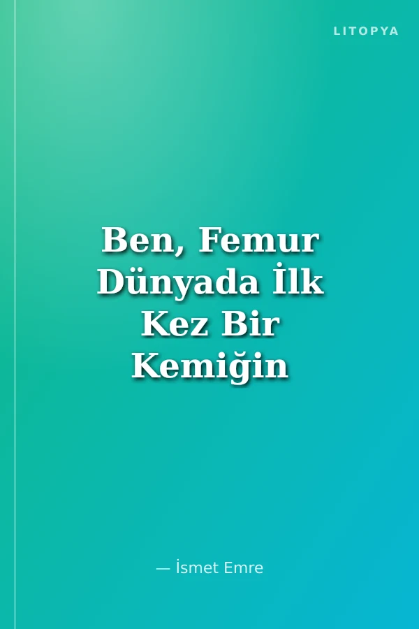 Ben, Femur Dünyada İlk Kez Bir Kemiğin Romanı