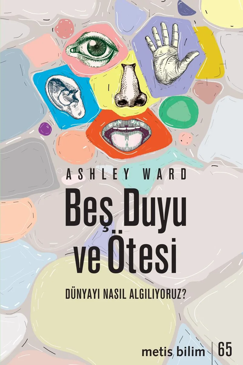 Beş Duyu ve Ötesi Dünyayı Nasıl Algılıyoruz?