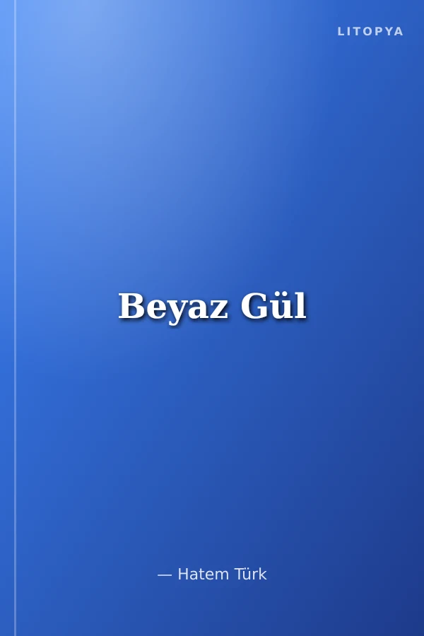 Beyaz Gül