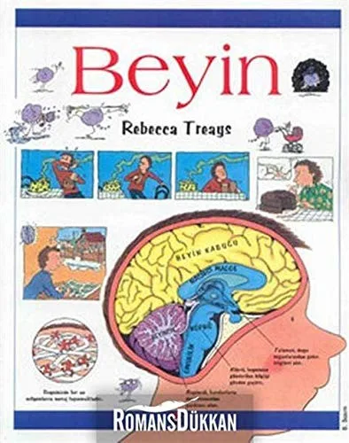 Beyin