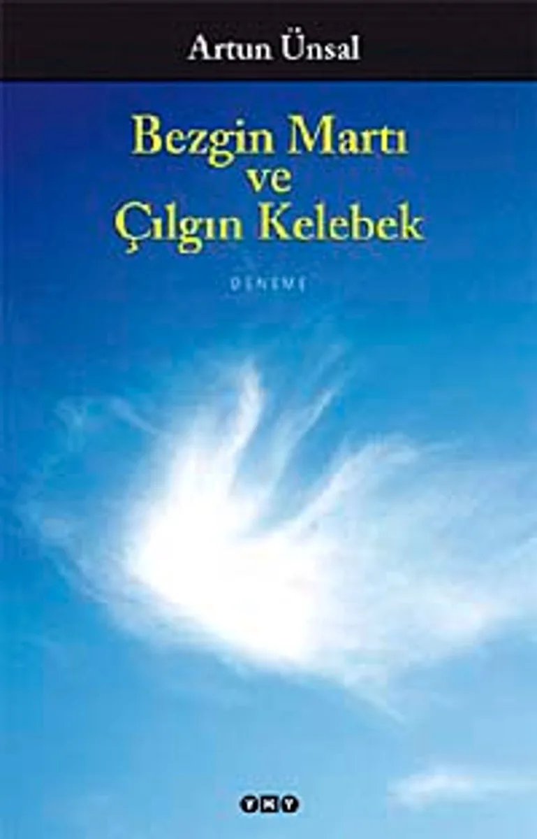 Bezgin Martı ve Çılgın Kelebek