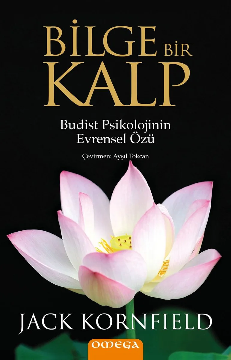 Bilge Bir Kalp