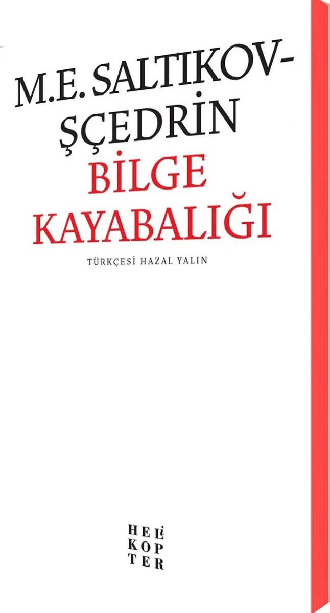 Bilge Kayabalığı