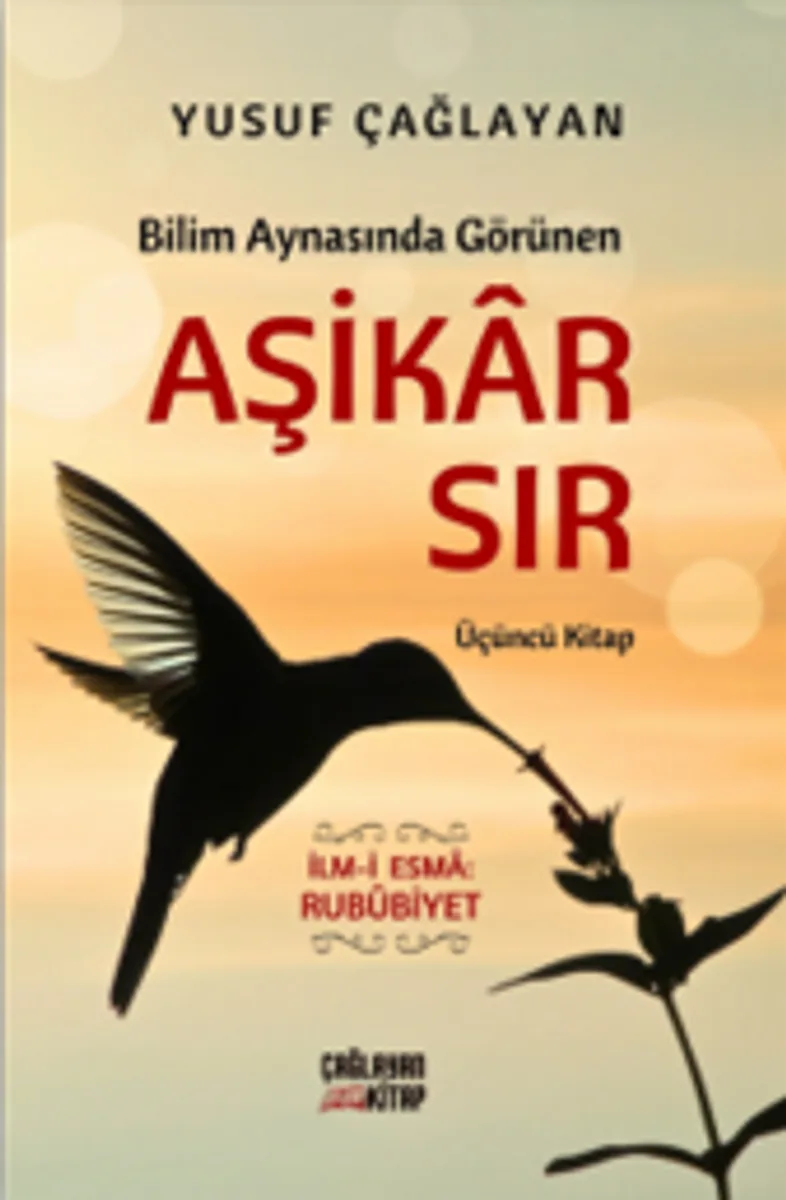 Bilim Aynasında Görünen Aşikar Sır (Üçüncü Kitap)
