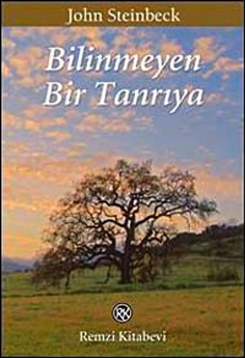 Bilinmeyen Bir Tanrıya