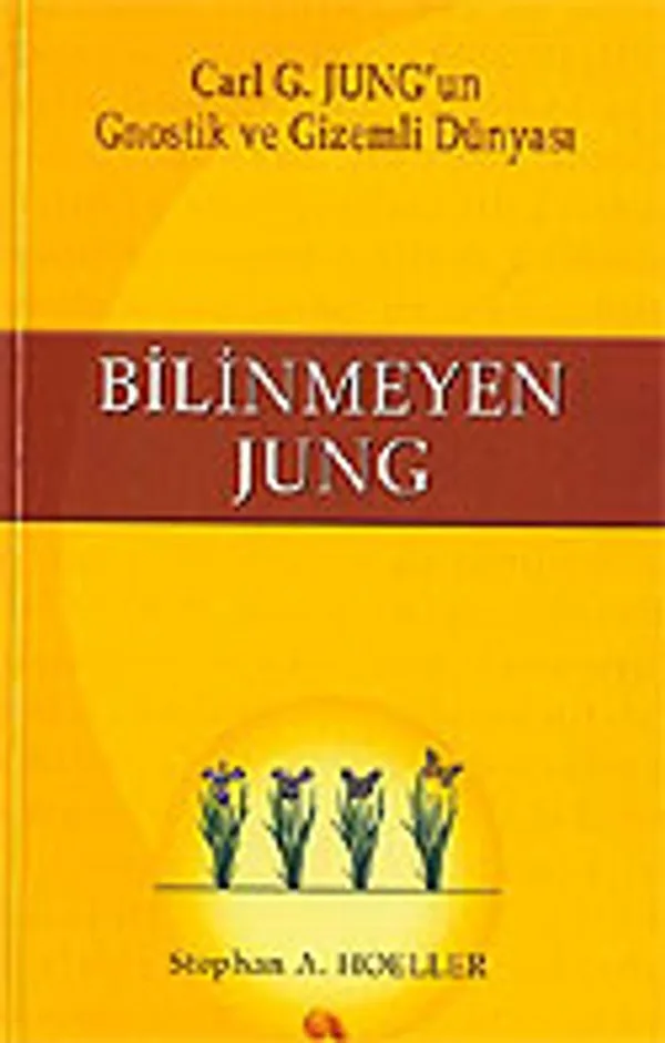 Bilinmeyen Jung