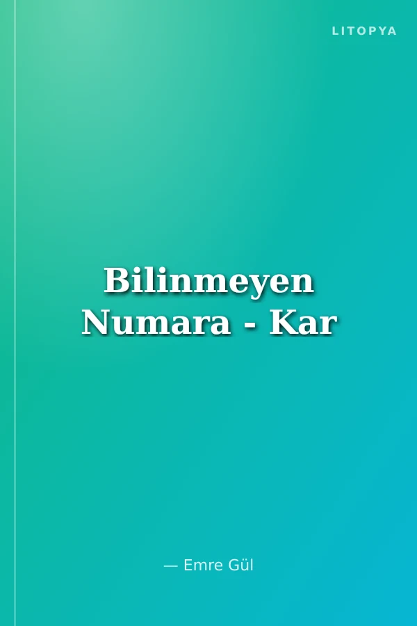 Bilinmeyen Numara - Kar