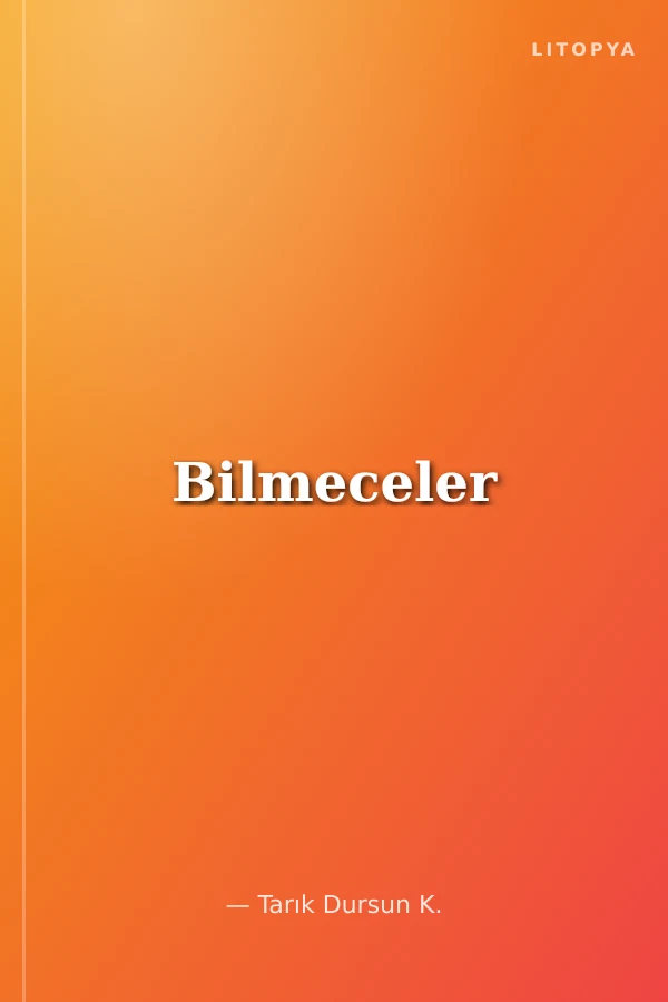 Bilmeceler