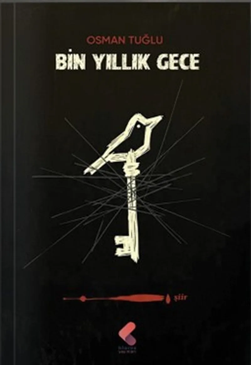Bin Yıllık Gece