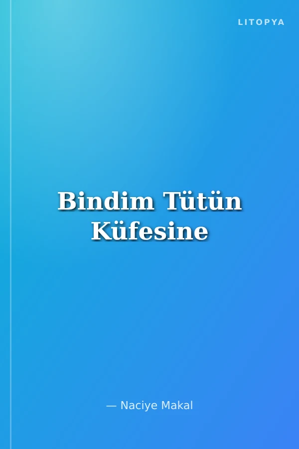 Bindim Tütün Küfesine