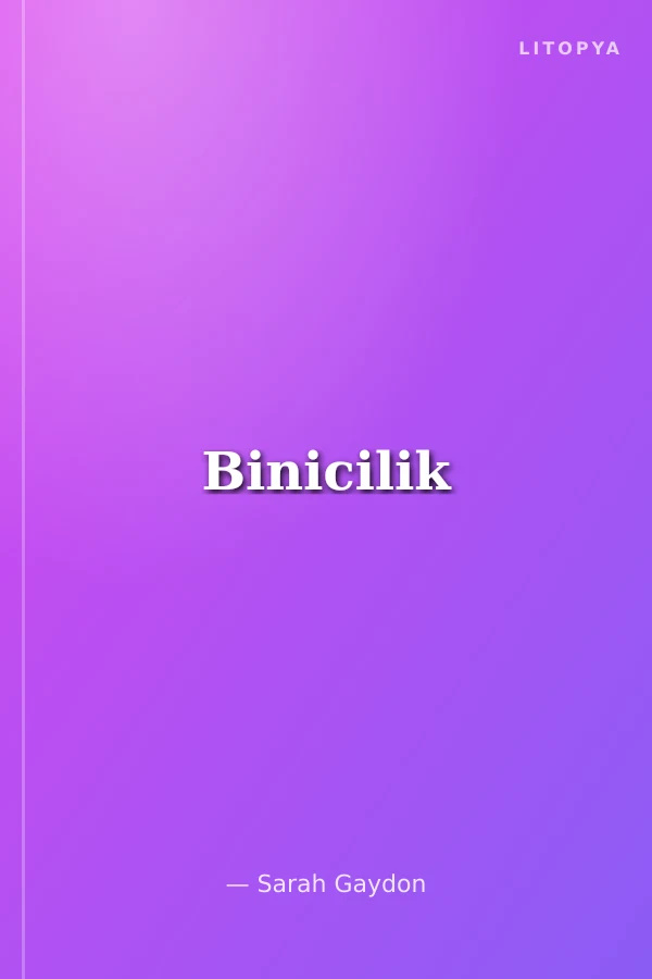 Binicilik