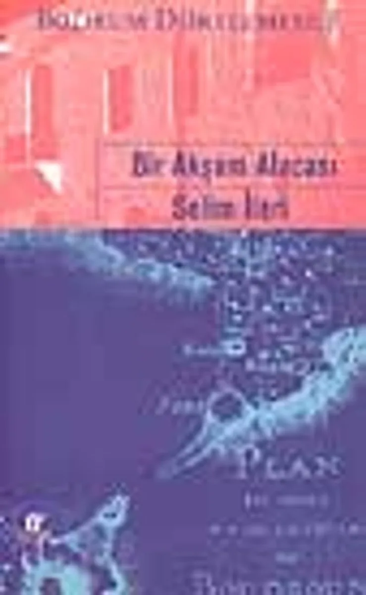 Bir Akşam Alacası