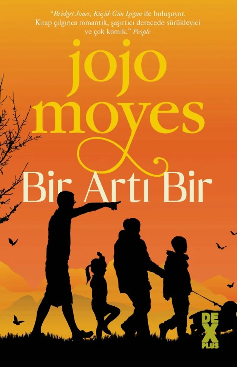 Bir Artı Bir