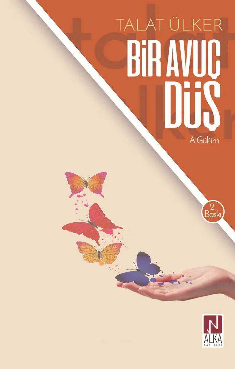 Bir Avuç Düş