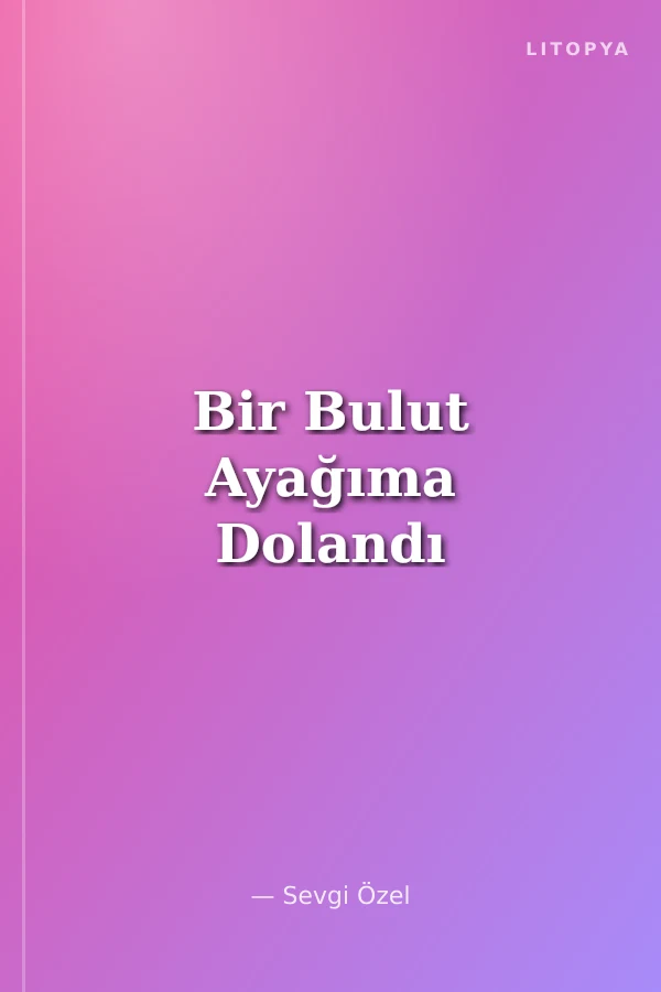 Bir Bulut Ayağıma Dolandı