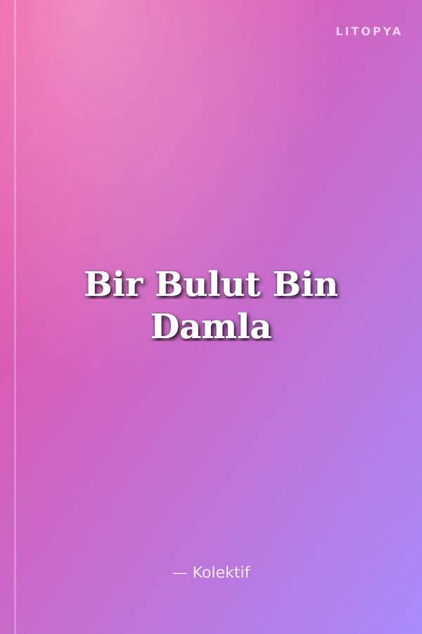 Bir Bulut Bin Damla