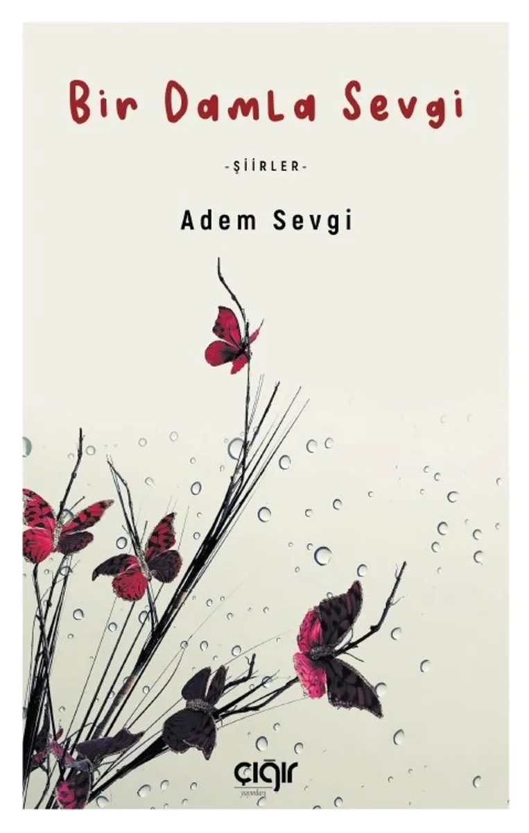 Bir Damla Sevgi Şiirler