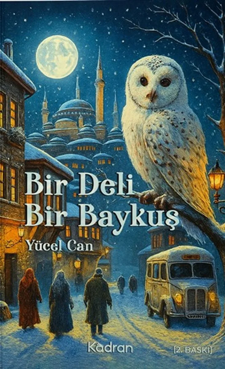 Bir Deli Bir Baykuş
