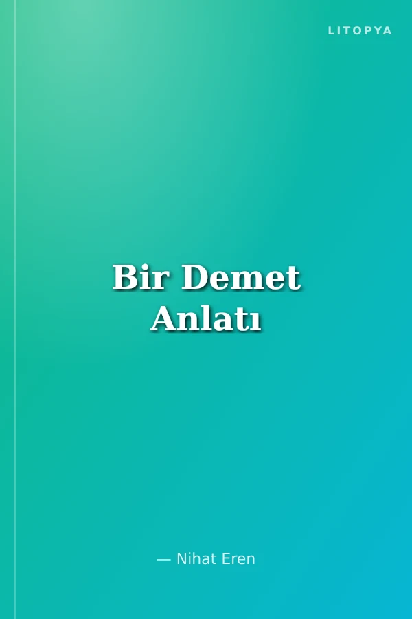 Bir Demet Anlatı