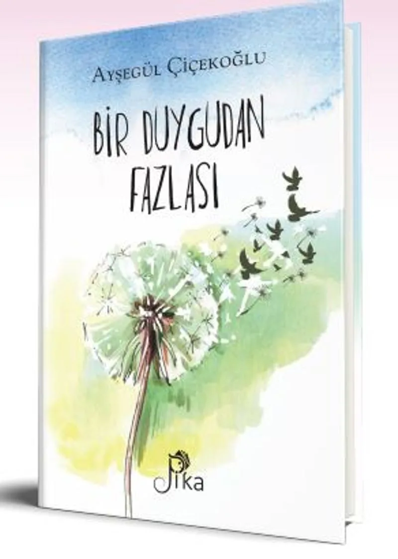 Bir Duygudan Fazlası