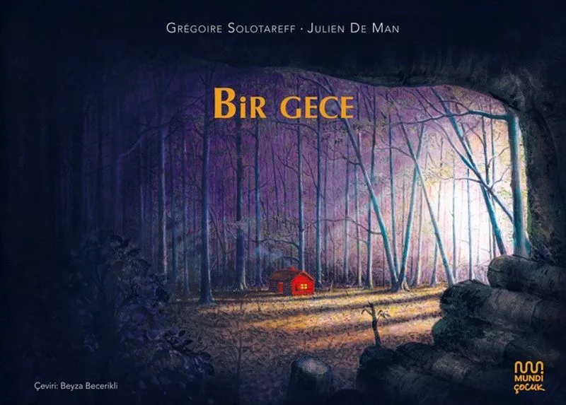Bir Gece