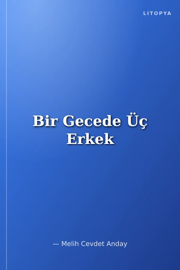 Bir Gecede Üç Erkek
