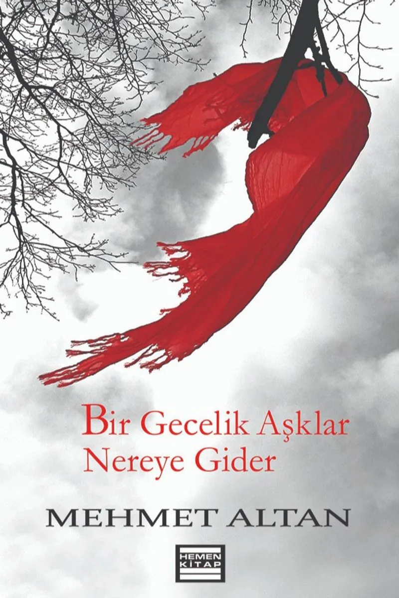 Bir Gecelik Aşklar Nereye Gider