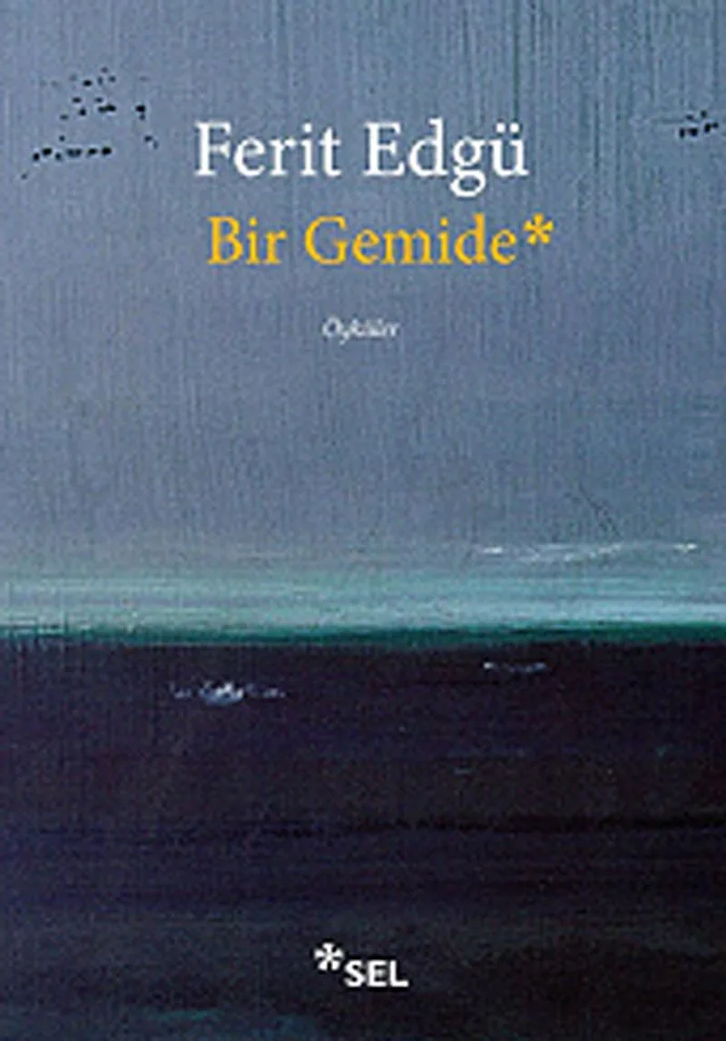 Bir Gemide