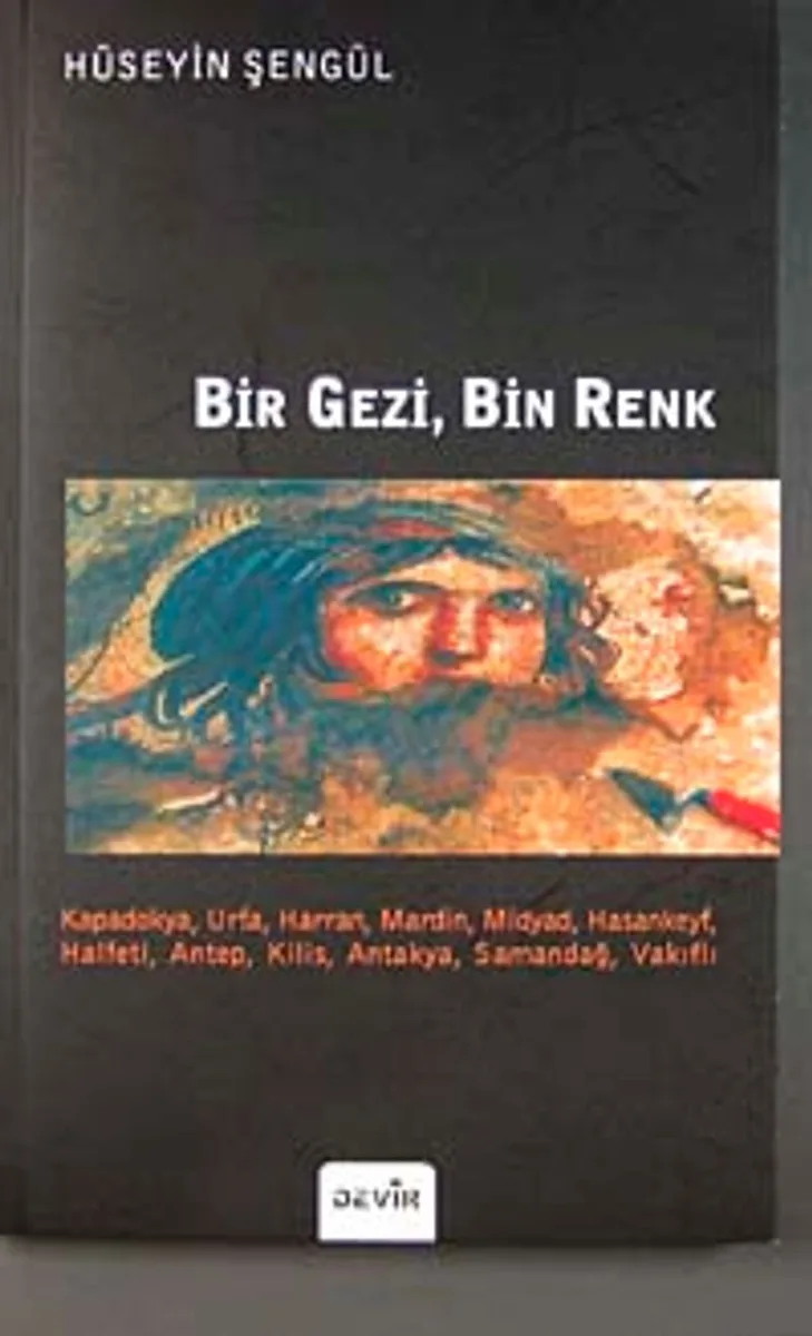 Bir Gezi, Bin Renk