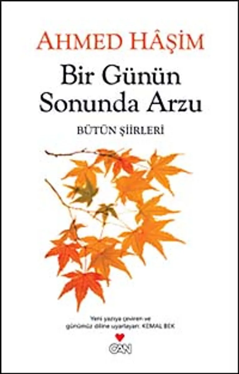 Bir Günün Sonunda Arzu Bütün Şiirleri