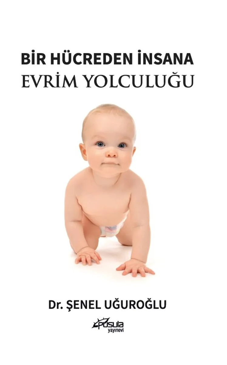Bir Hücreden İnsana Evrim Yolculuğu