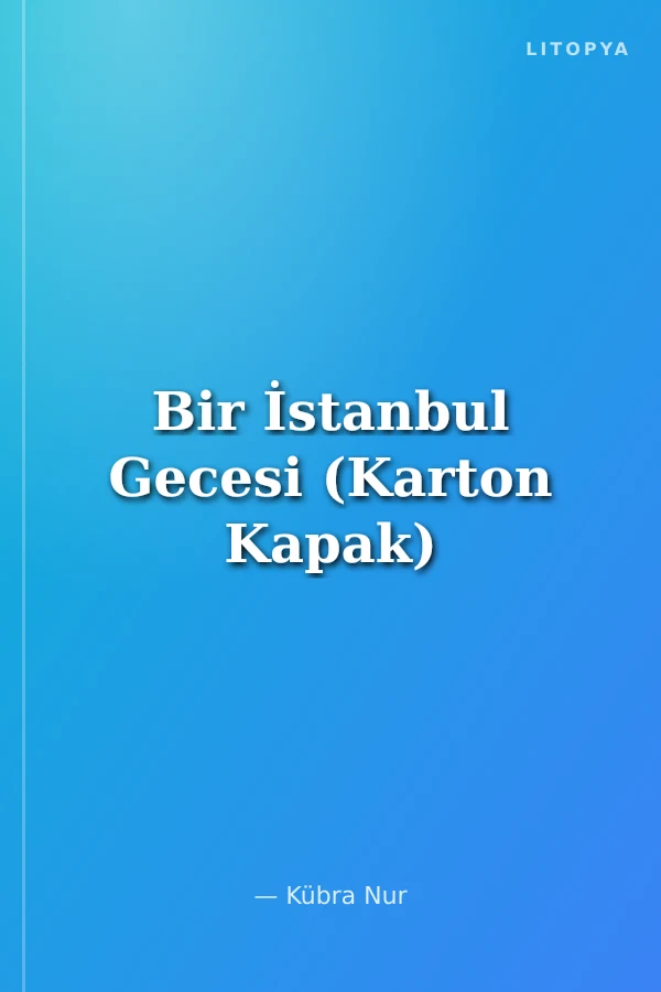 Bir İstanbul Gecesi (Karton Kapak)