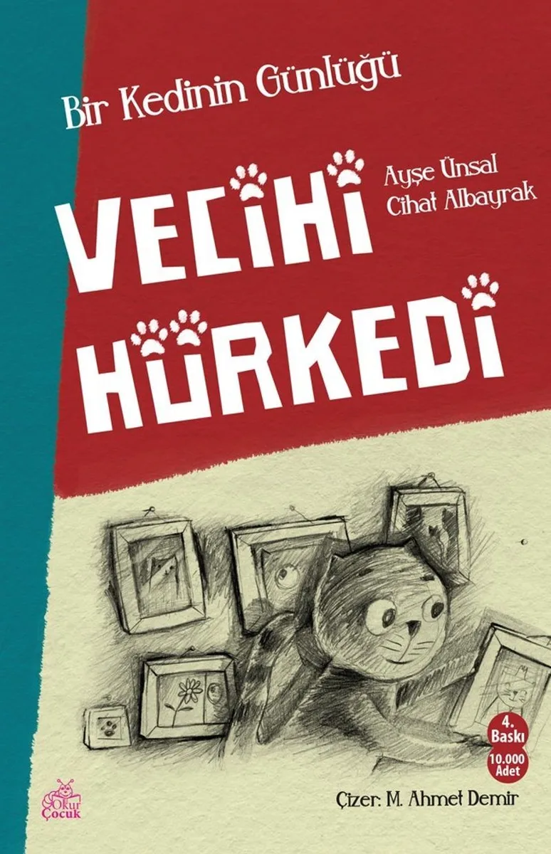 Bir Kedinin Günlüğü Vecihi Hürkedi
