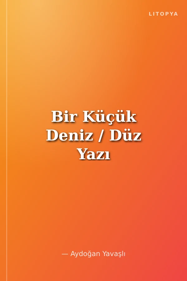 Bir Küçük Deniz / Düz Yazı