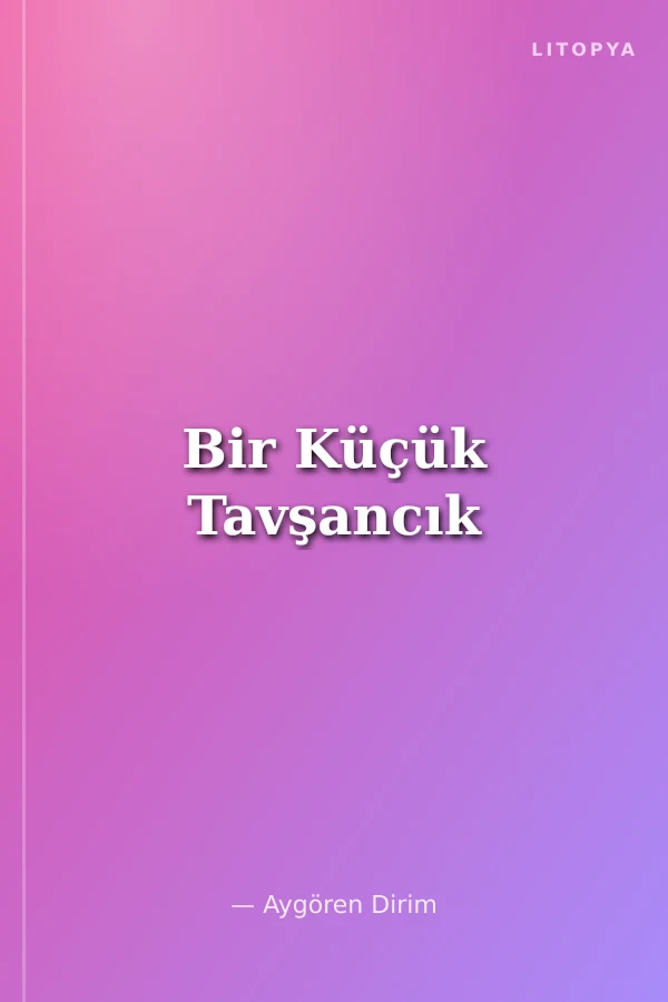 Bir Küçük Tavşancık