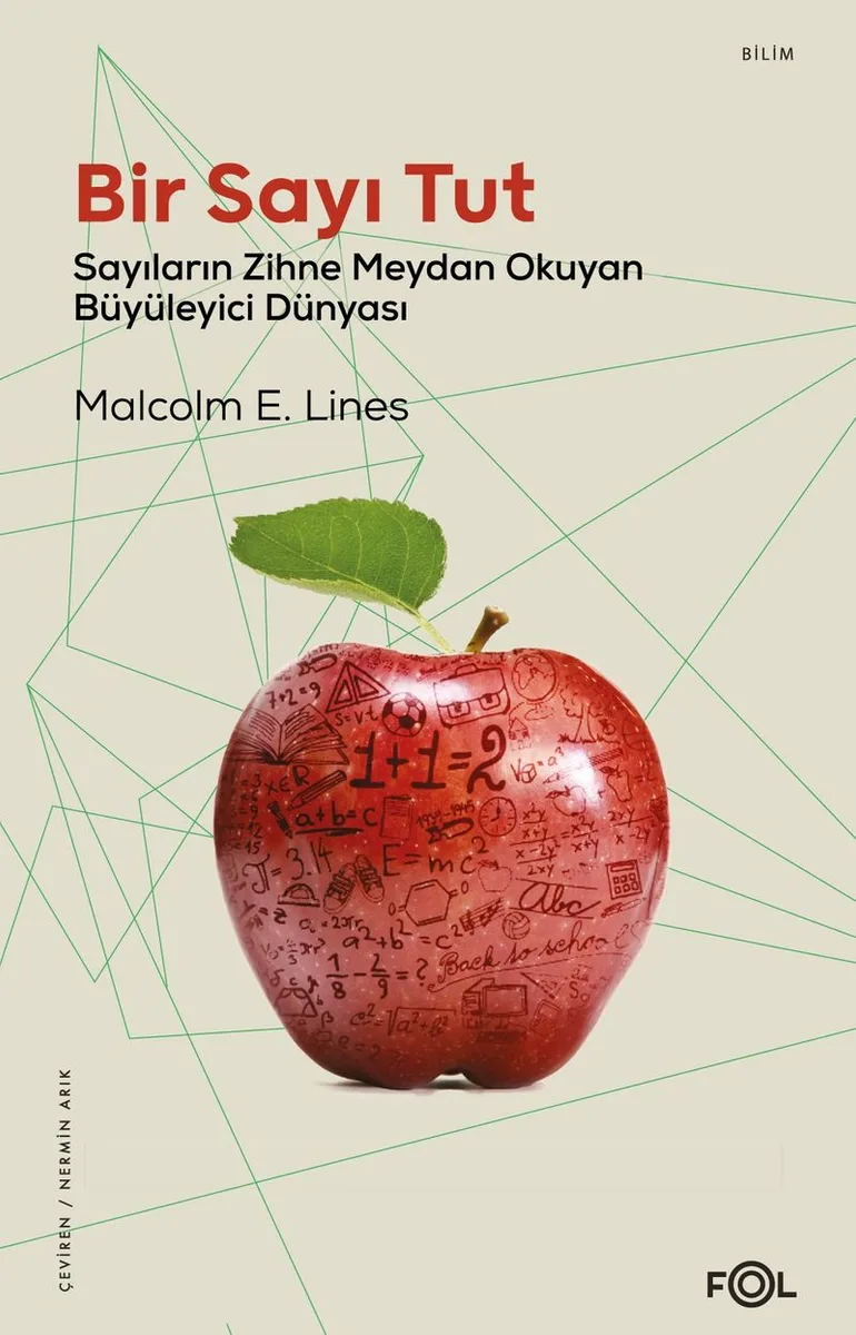 Bir Sayı Tut Sayıların Zihne Meydan Okuyan Büyüleyici Dünyası