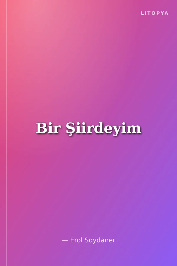 Bir Şiirdeyim