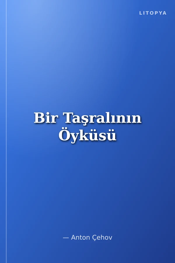 Bir Taşralının Öyküsü