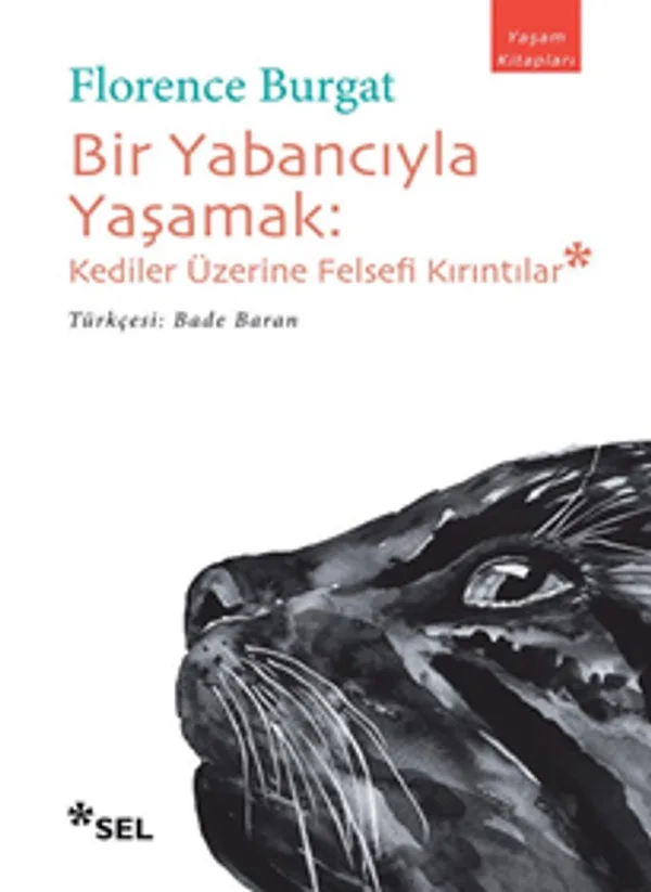 Bir Yabancıyla Yaşamak Kediler Üzerine Felsefi Kırıntılar