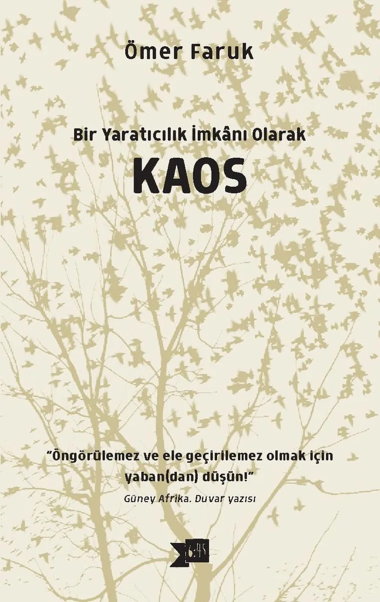 Bir Yaratıcılık İmkanı Olarak Kaos