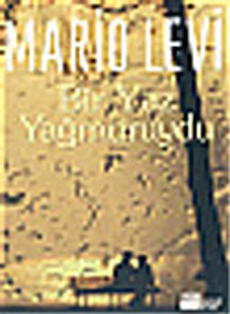 Bir yaz yağmuruydu