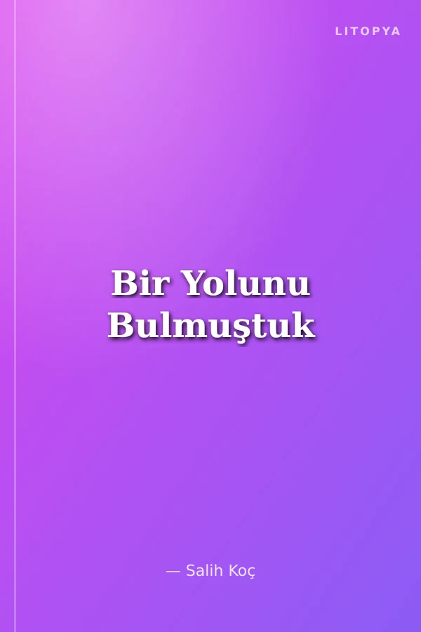 Bir Yolunu Bulmuştuk