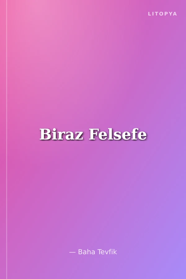 Biraz Felsefe