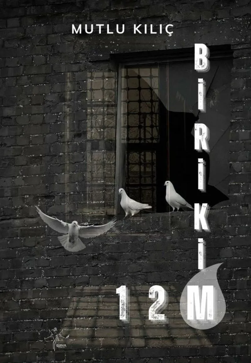 Birikim