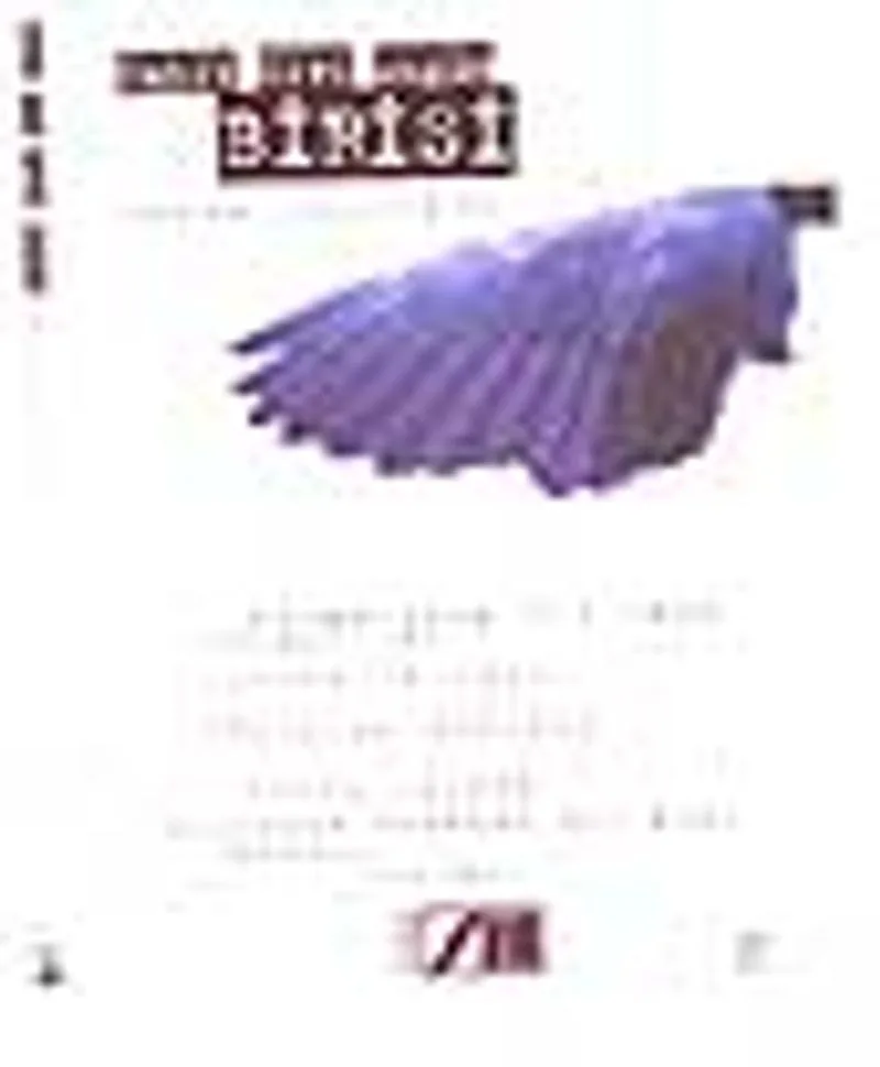Birisi / Bütün Şiirleri