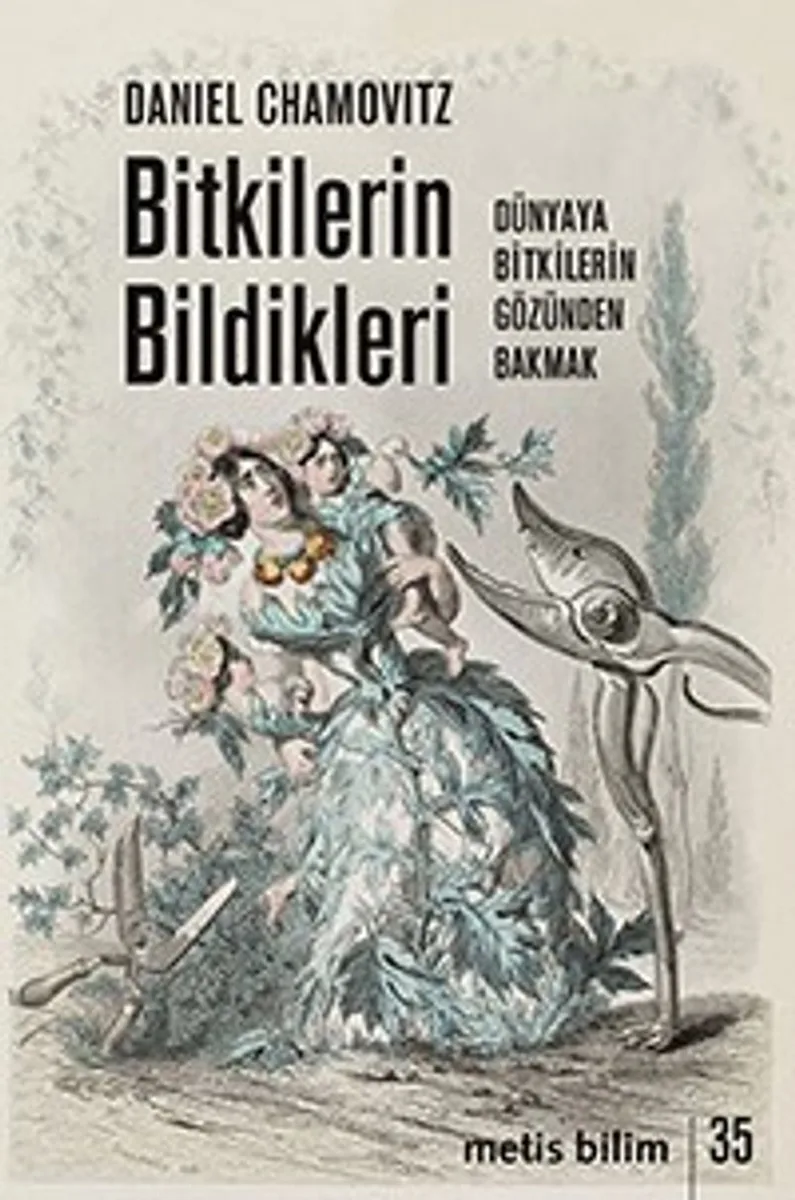 Bitkilerin Bildikleri Dünyaya Bitkilerin Gözünden Bakmak