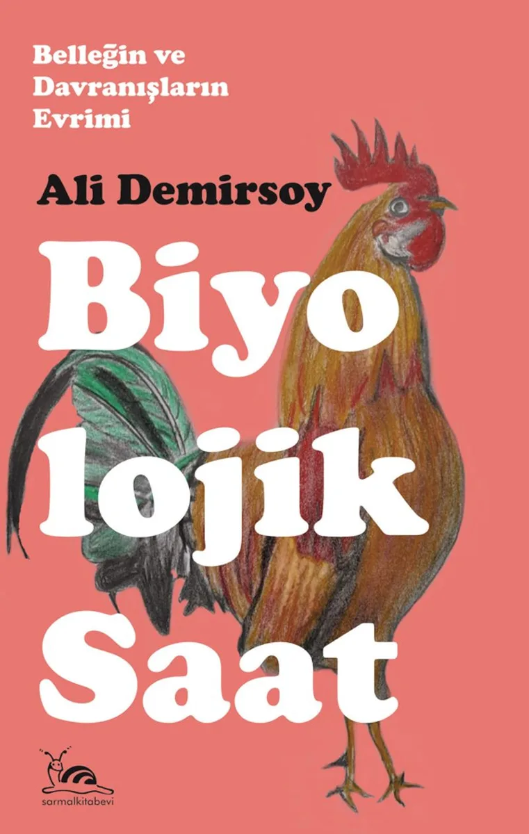 Biyolojik Saat Belleğin ve Davranışların Evrimi