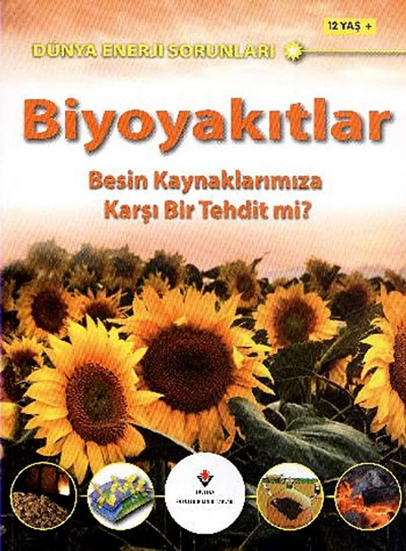 Biyoyakıtlar Besin Kaynaklarımıza Karşı Bir Tehdit mi?
